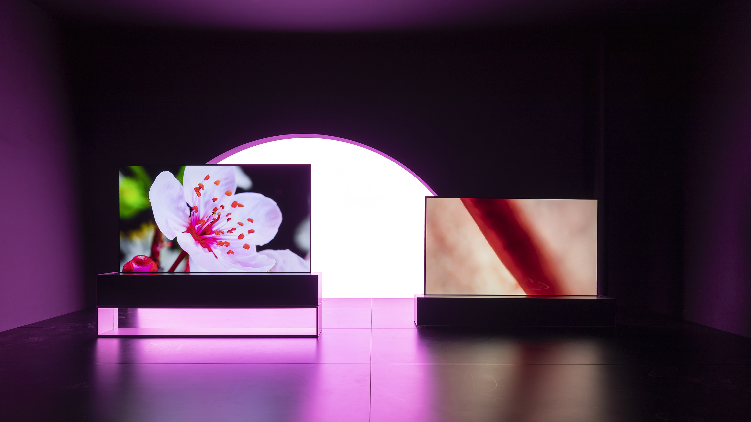 2636 SignatureTV_BannerImage.jpg