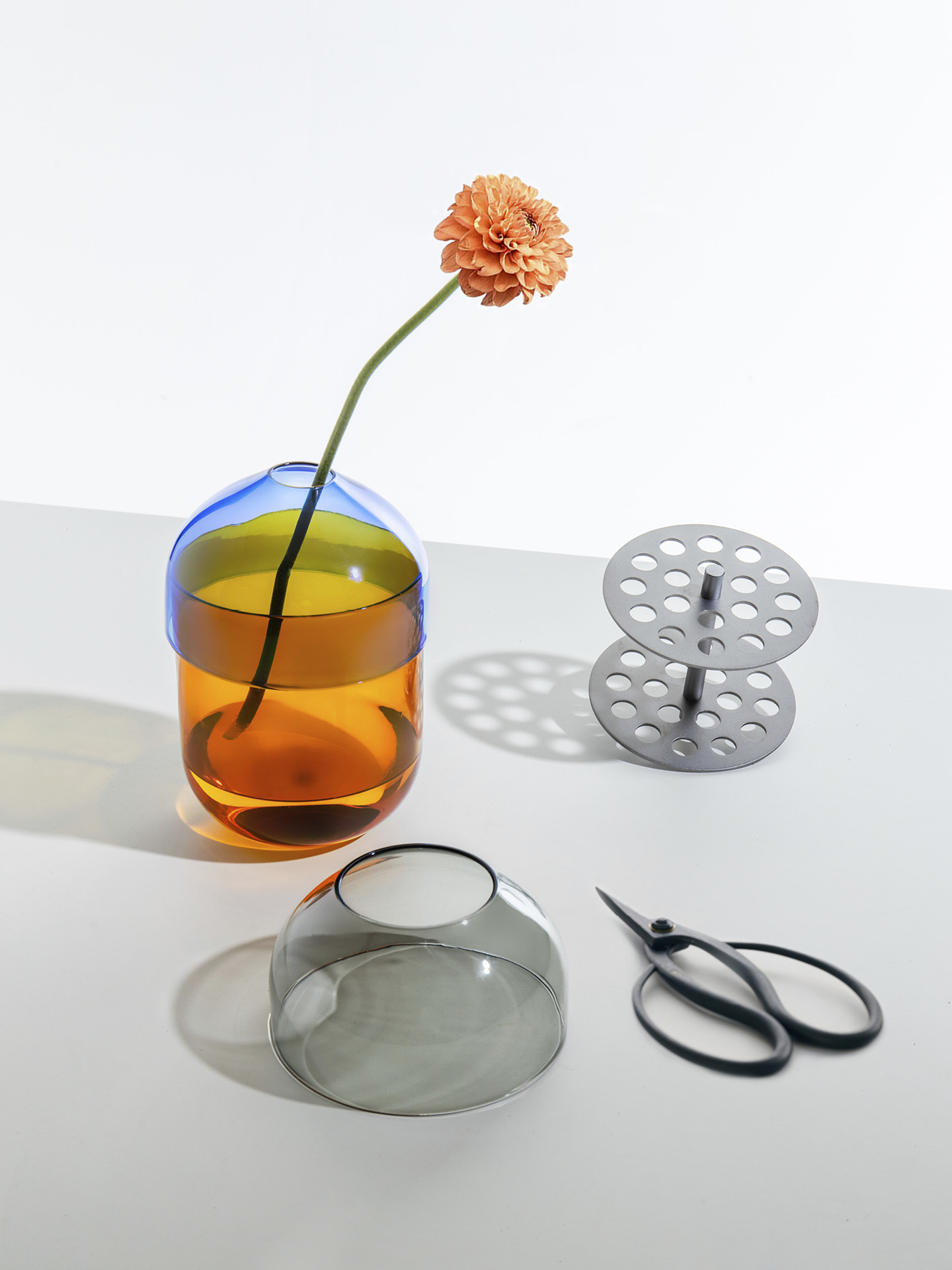 3389 FIO_Portrait.jpg